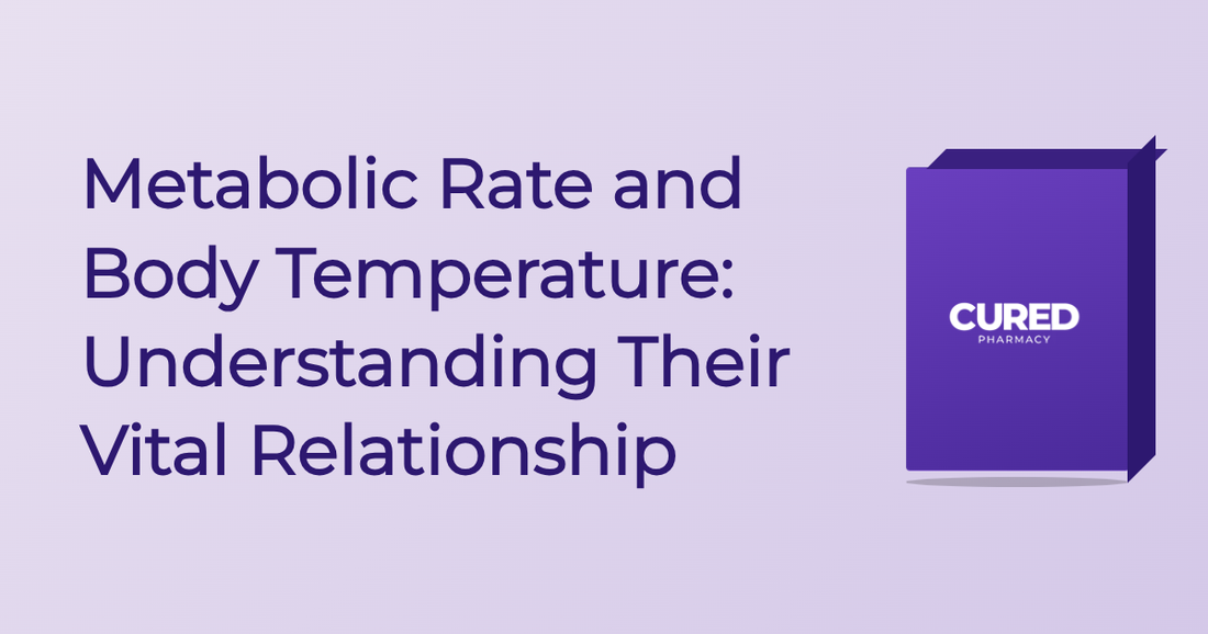Metabolic Rate And Body Temperature: Understanding Their Vital Relationship - Guide | Cured Pharmacy