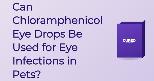 Can Chloramphenicol Eye Drops Be Used For Eye Infections In Pets? - Guide | Cured Pharmacy
