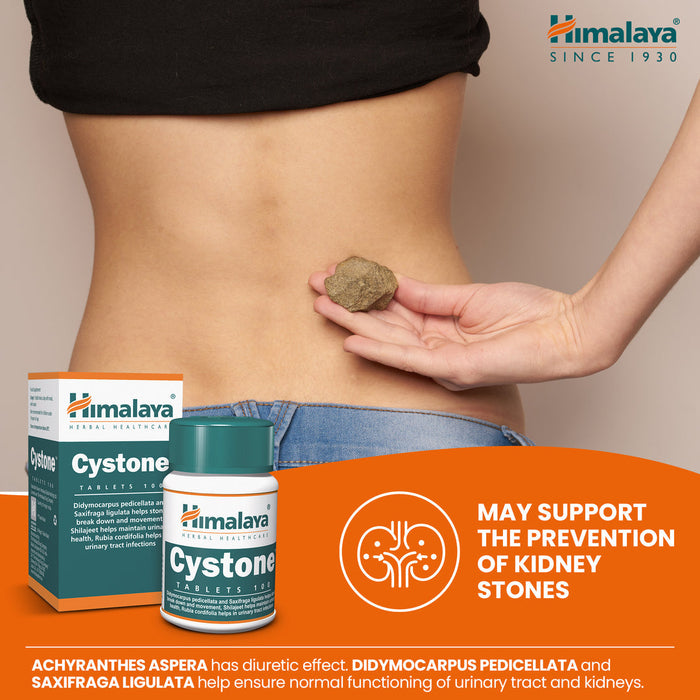 Himalaya Cystone - 100 Tablets