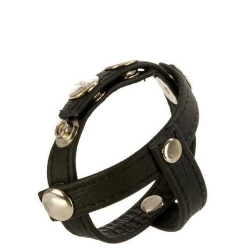 COLT Leather H-Piece Divider Strap