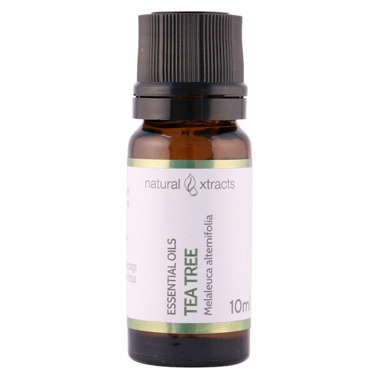 Xtracts Tea Tree Aromatherapy Oil Pure Essential Oil